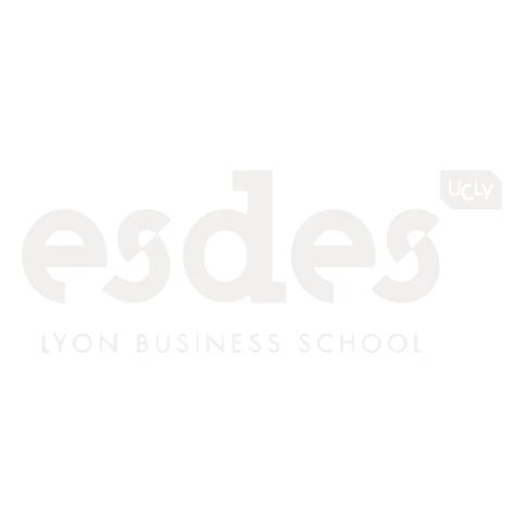 Logo ESDES