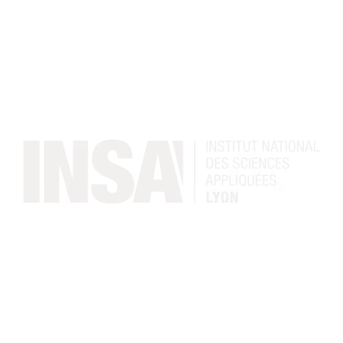 Logo INSA